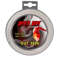 PROS PRO GUT 3000 NATURAL 1,30 - 12M