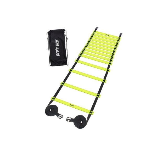 PROS PRO COORDINATION LADDER 6M
