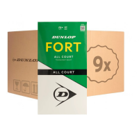 DUNLOP FORT ALL COURT TS 2X4PET CARTONETTE