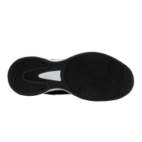 COURT EXPRESS 2 CLAY