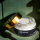 ARNICA CBD