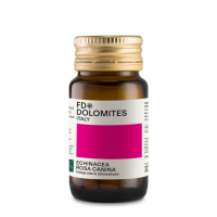 ECHINACEA ROSA CANINA