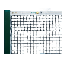 COURT ROYAL TN 15