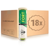 DUNLOP FORT ALL COURT TS 4PET